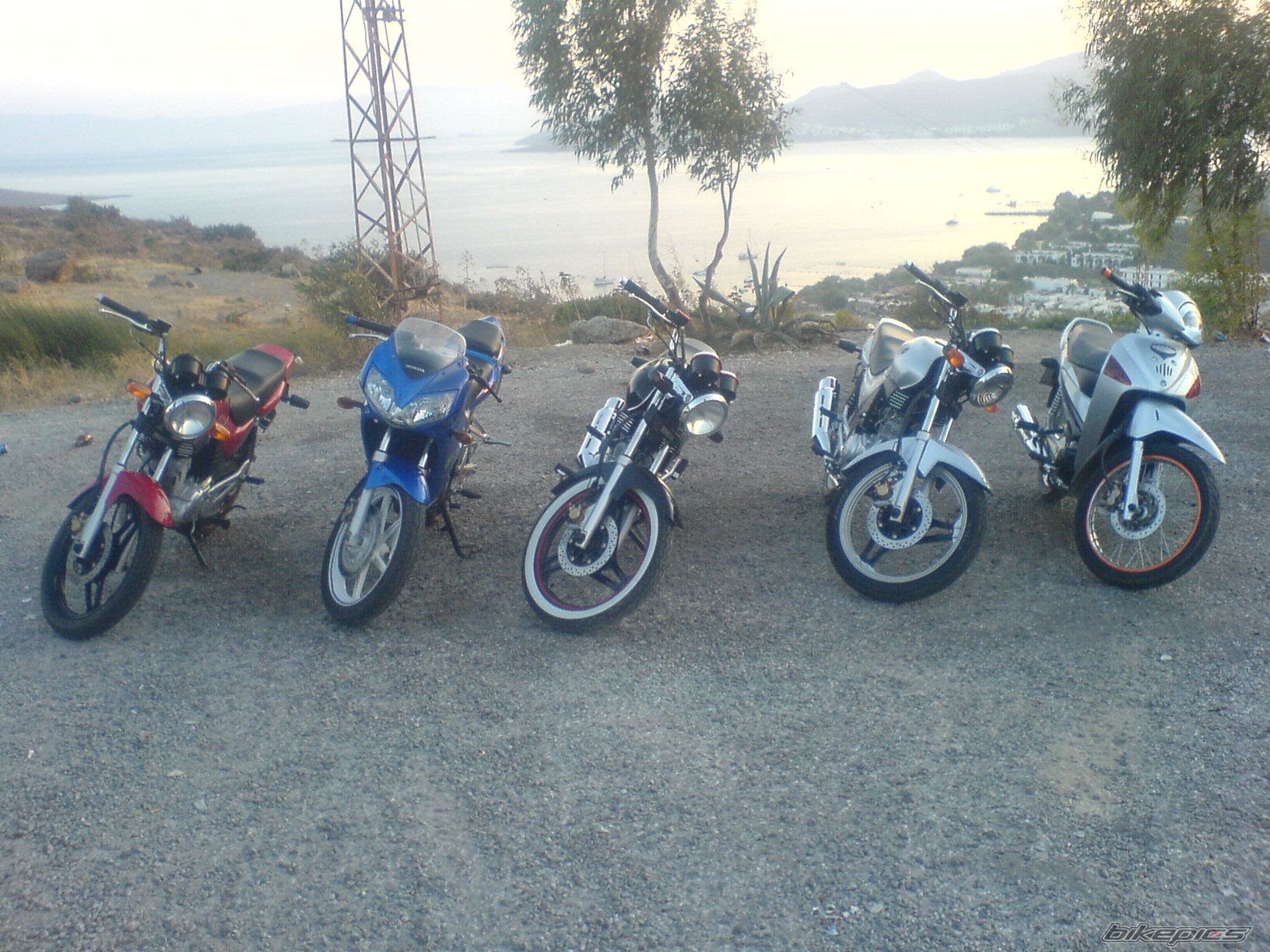 Photo 1013731