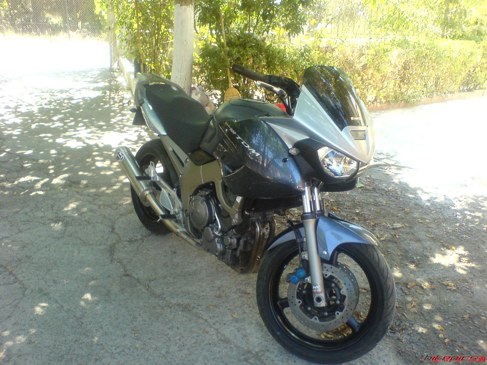 Photo 1013799