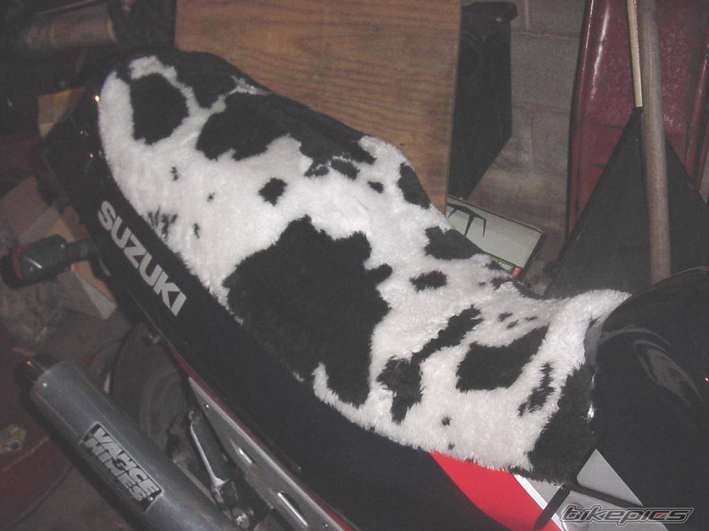 Photo 101380