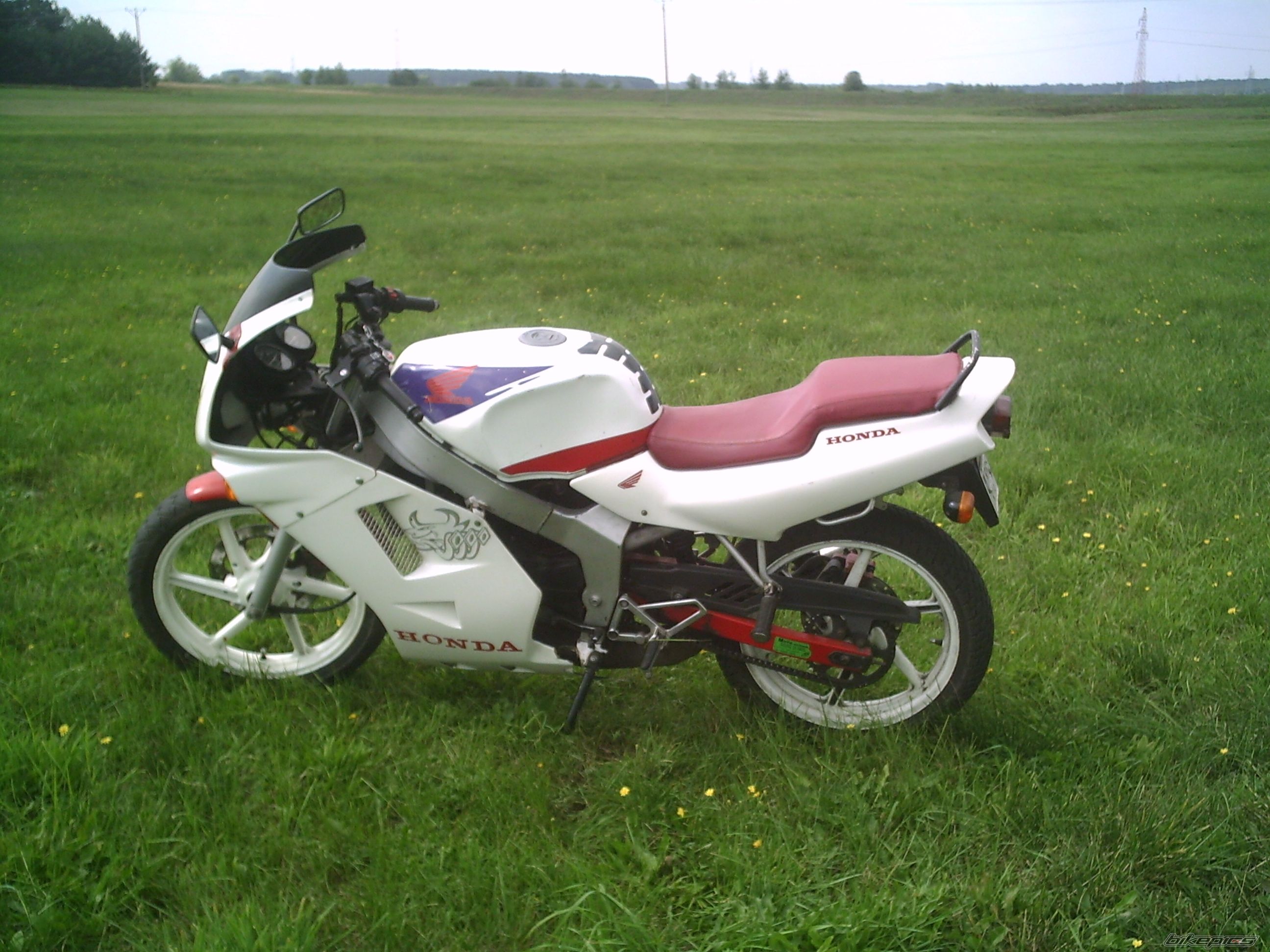 Photo 1013834