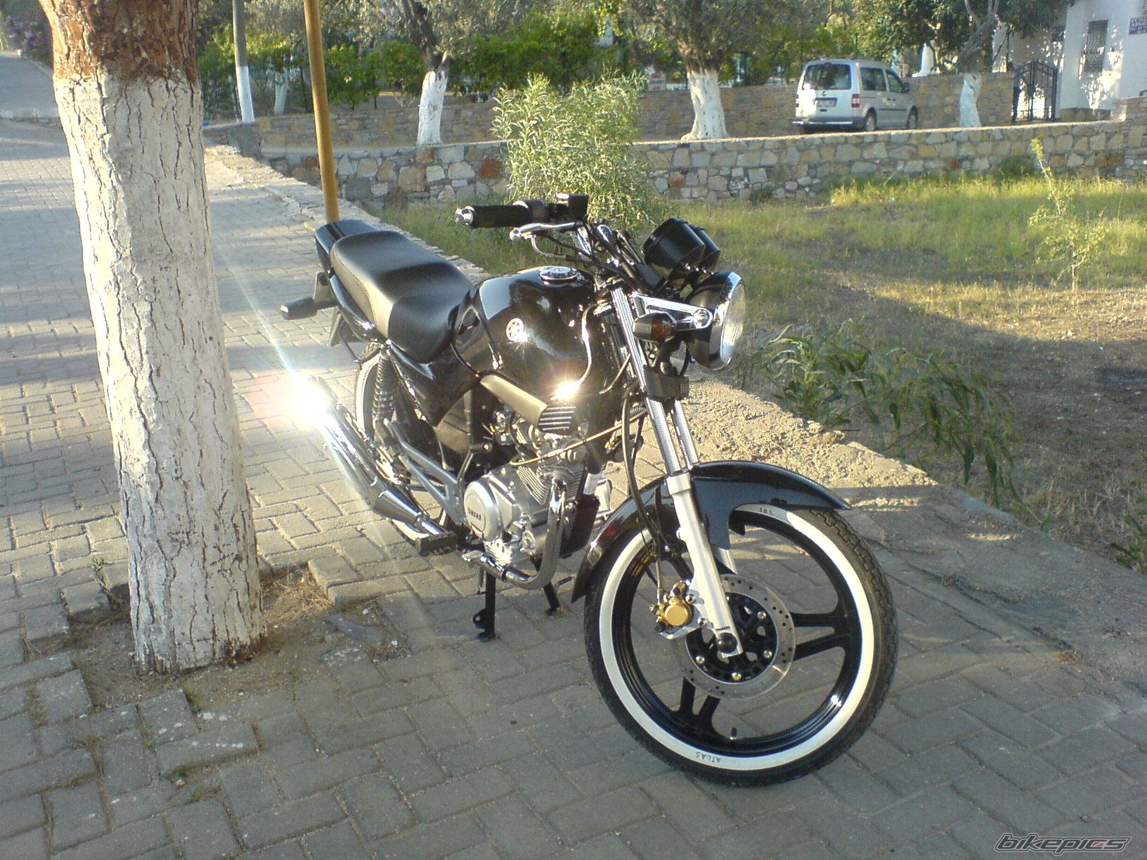 Photo 1013856