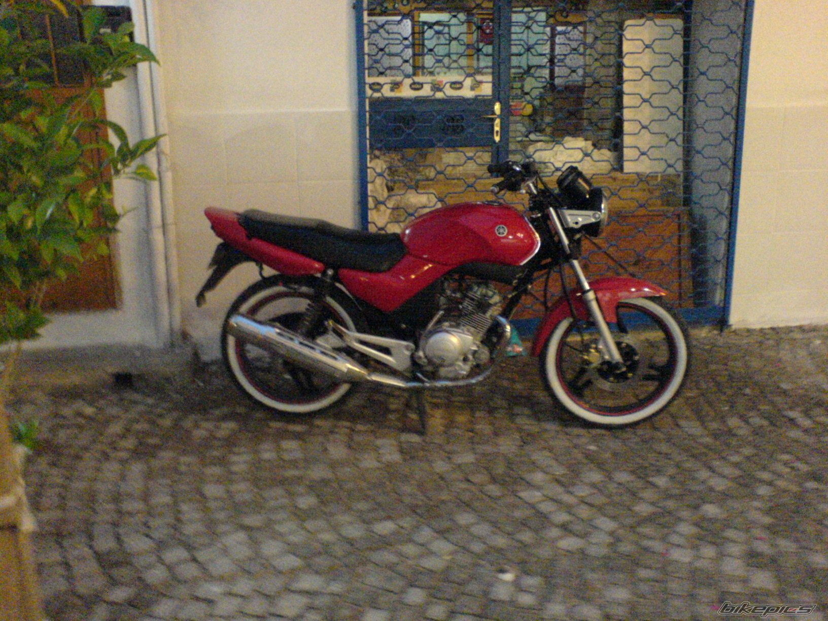 Photo 1013945