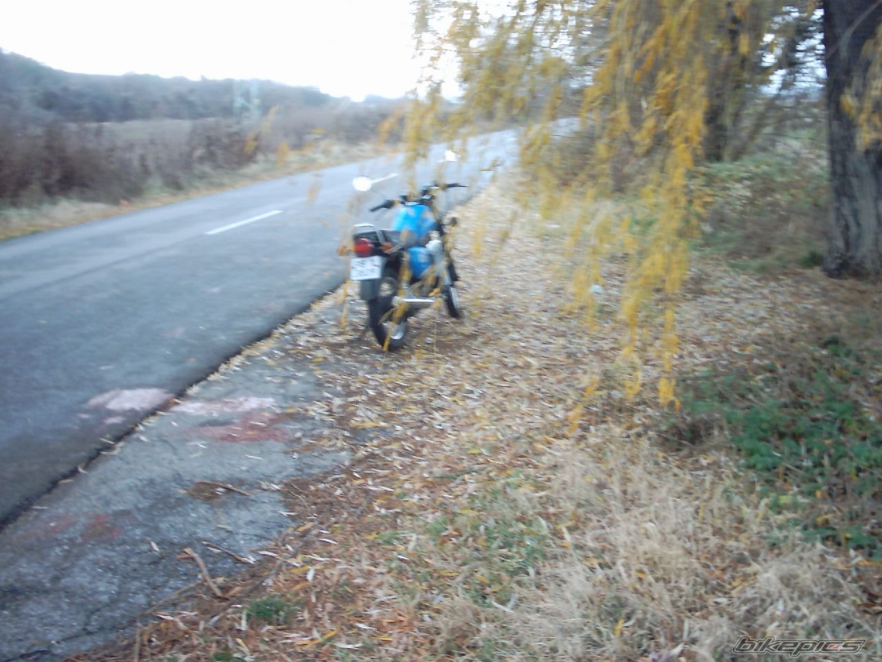 Photo 1014032