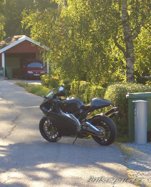 Photo 1014058