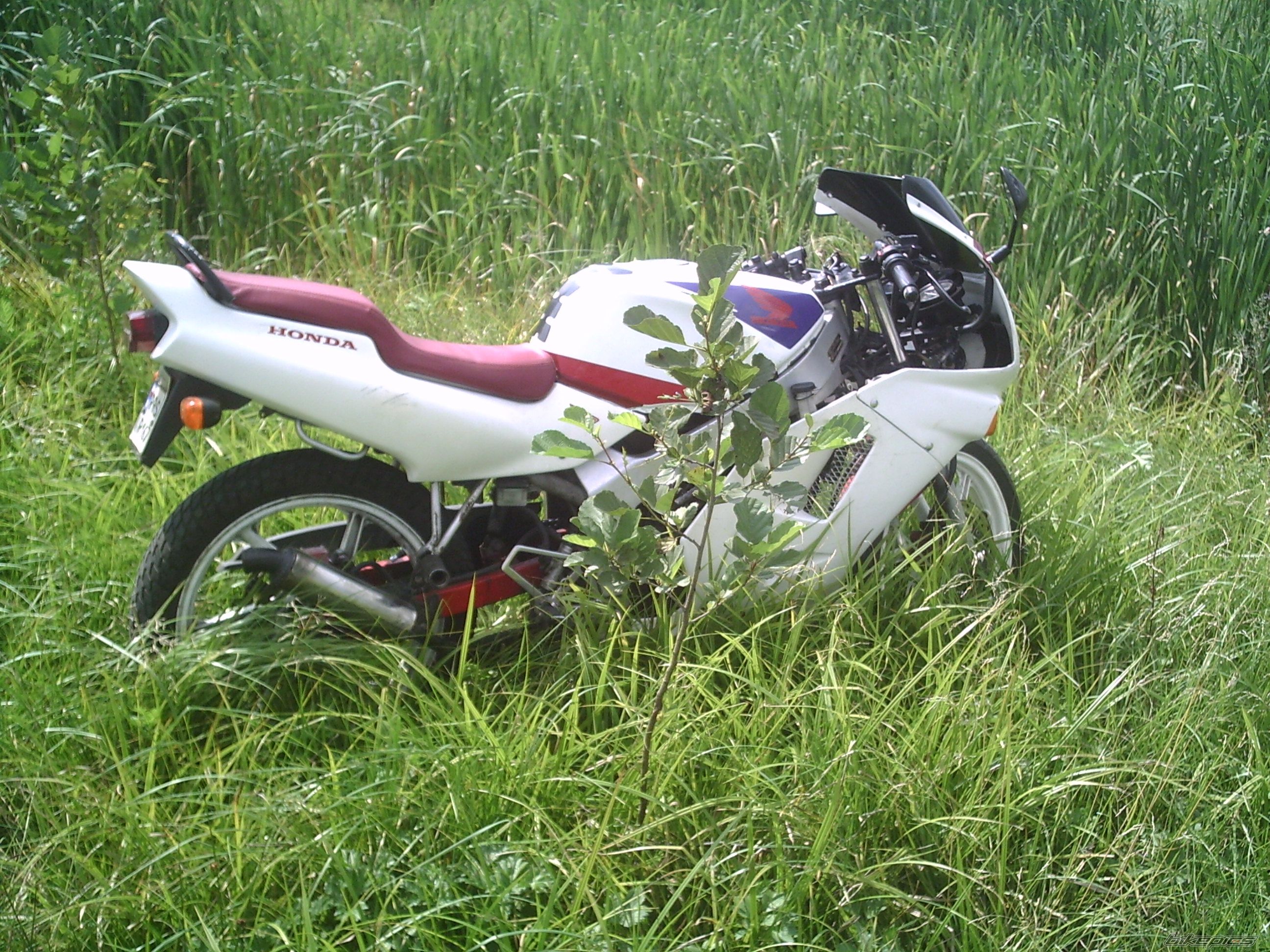 Photo 1014232
