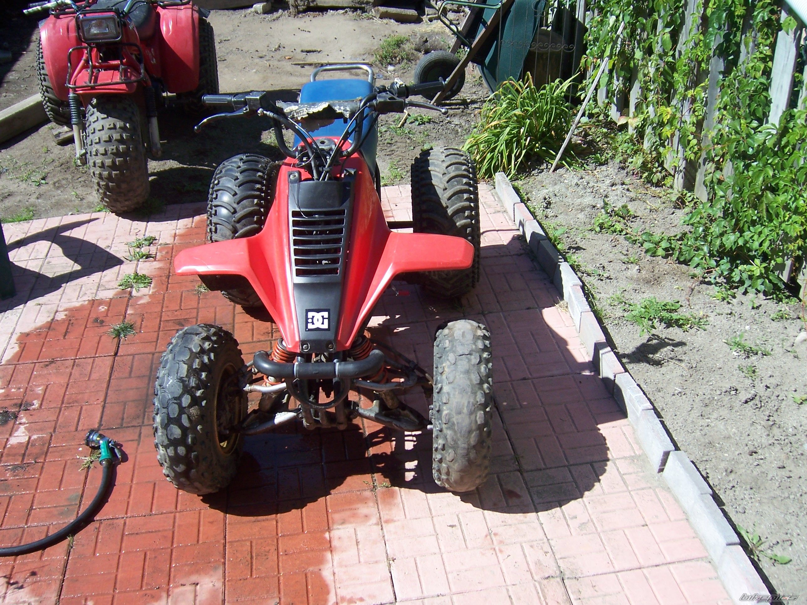 Photo 1014270