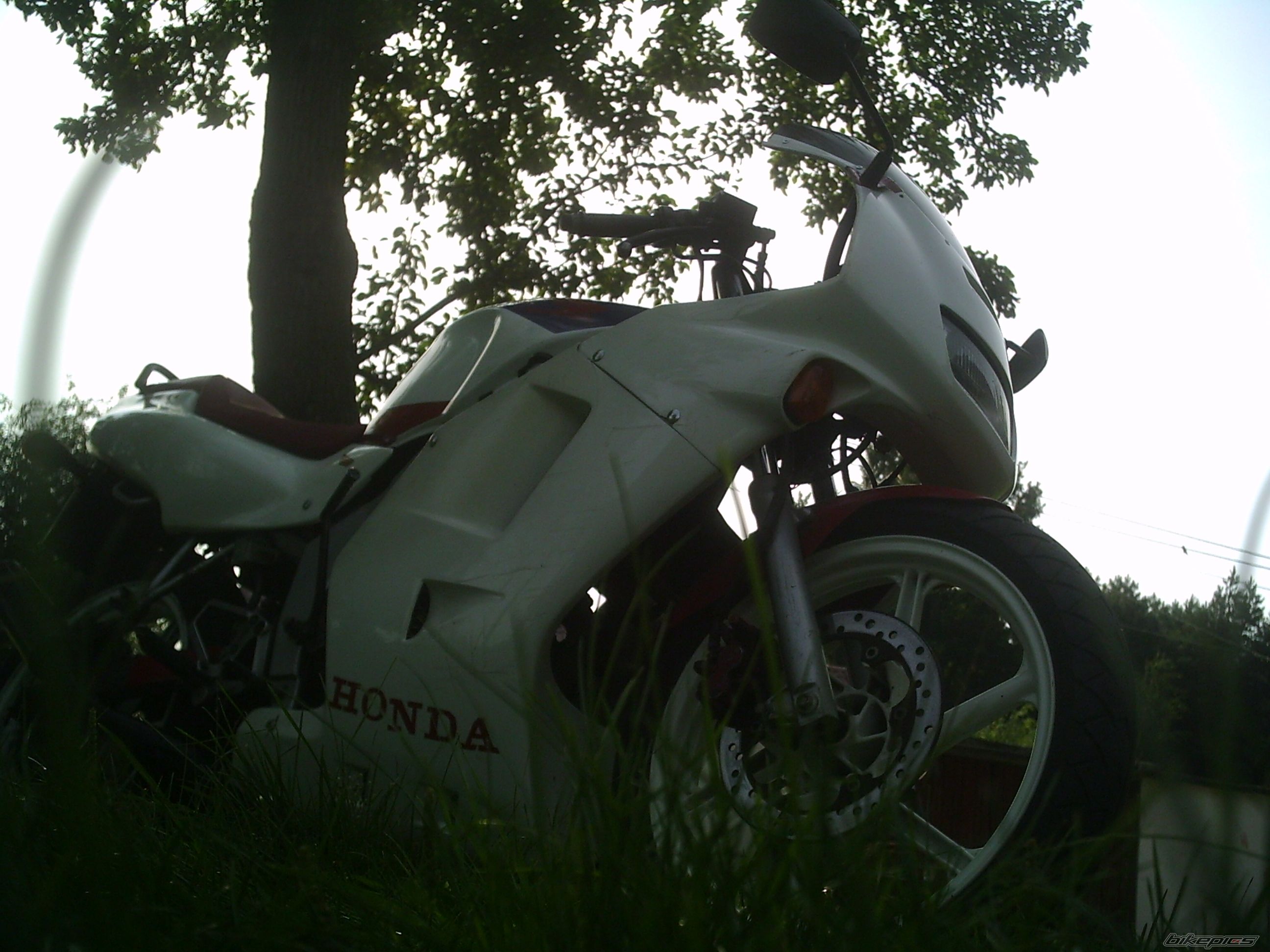 Photo 1014283