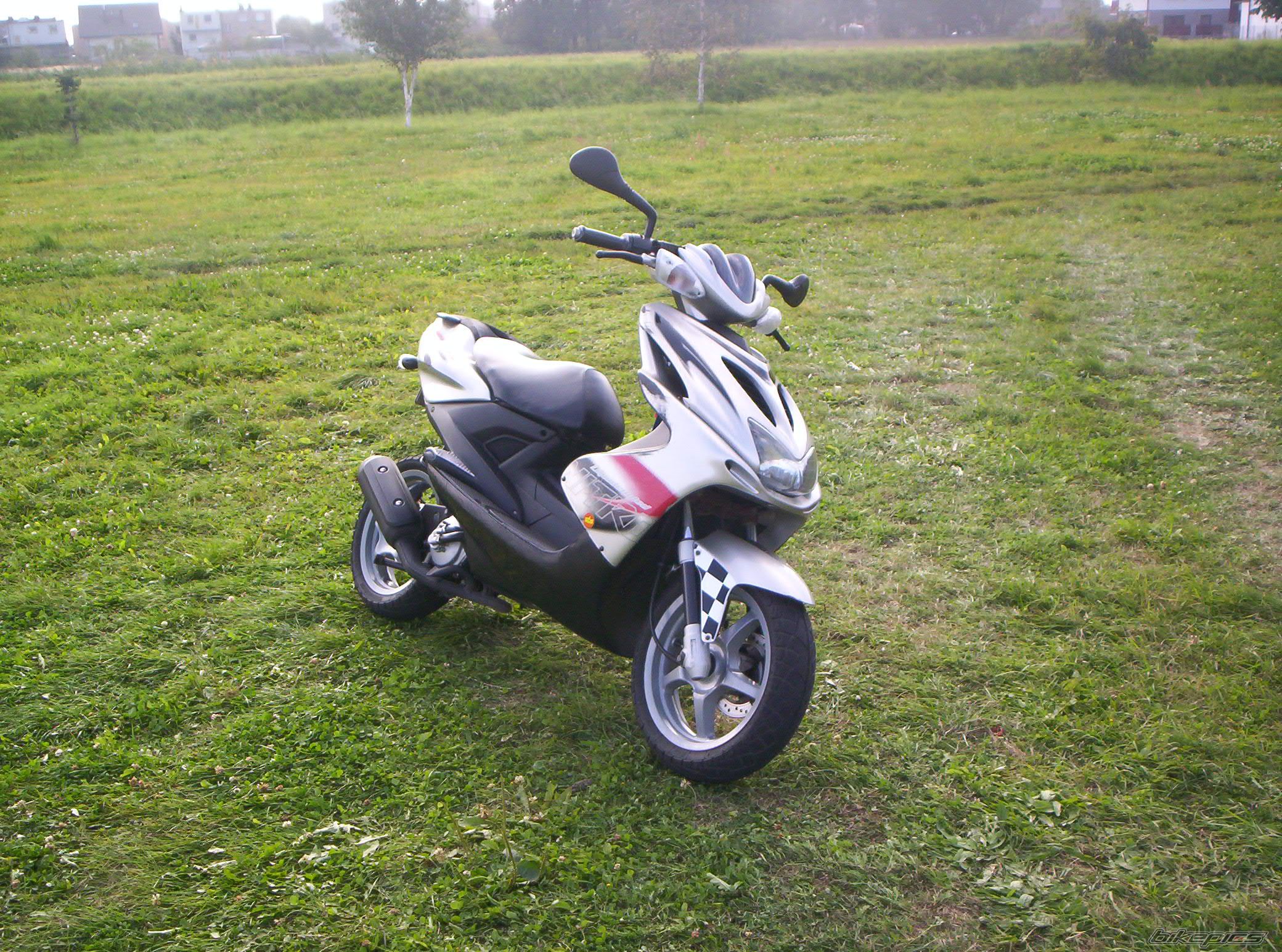 Photo 1014993