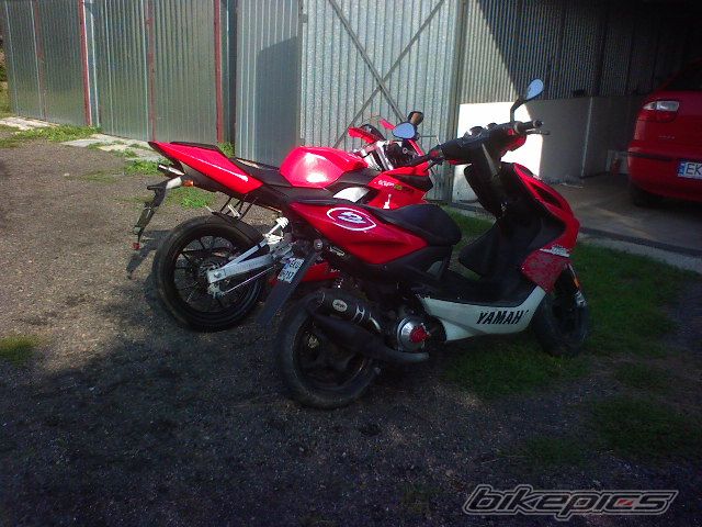 Photo 1014994