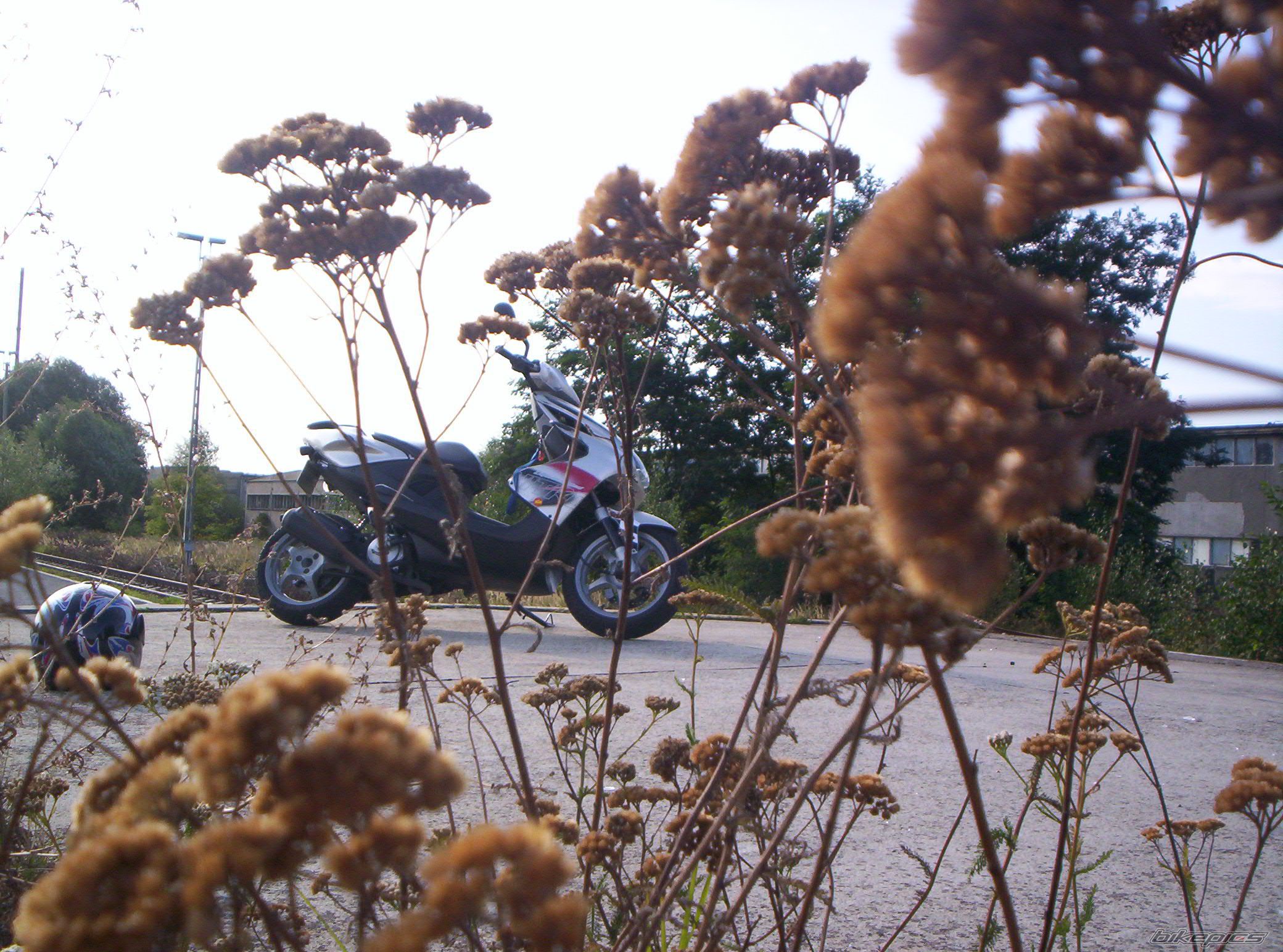 Photo 1015158