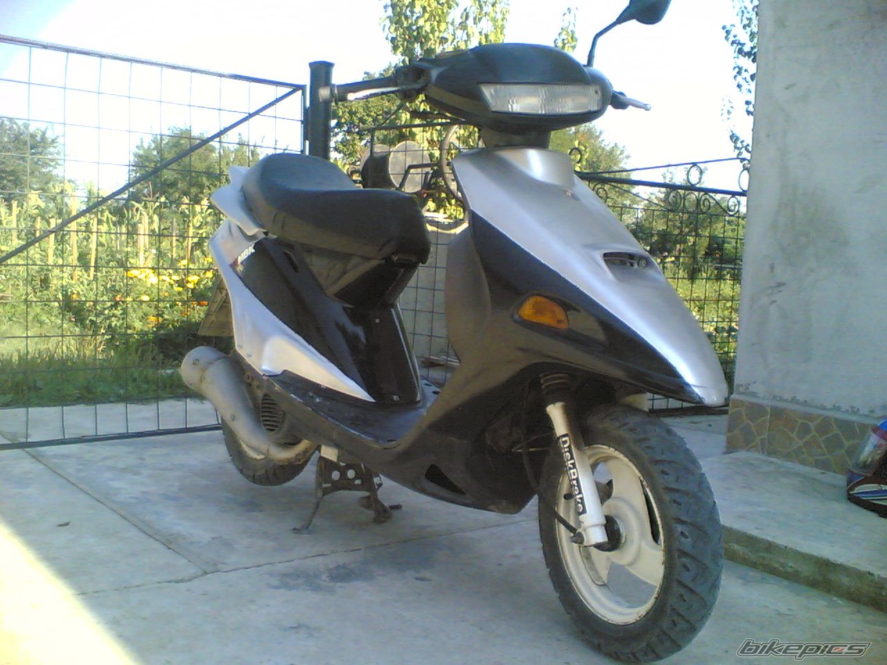 Photo 1015194