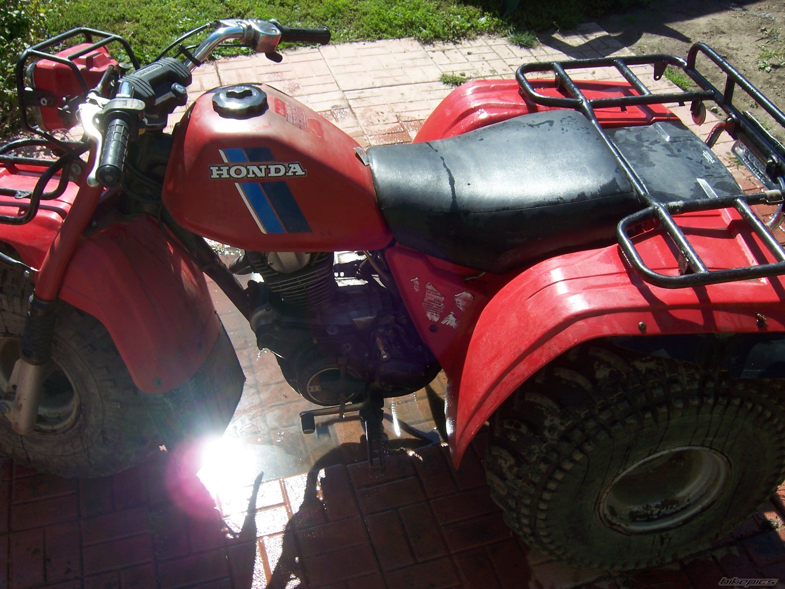 Photo 1015258