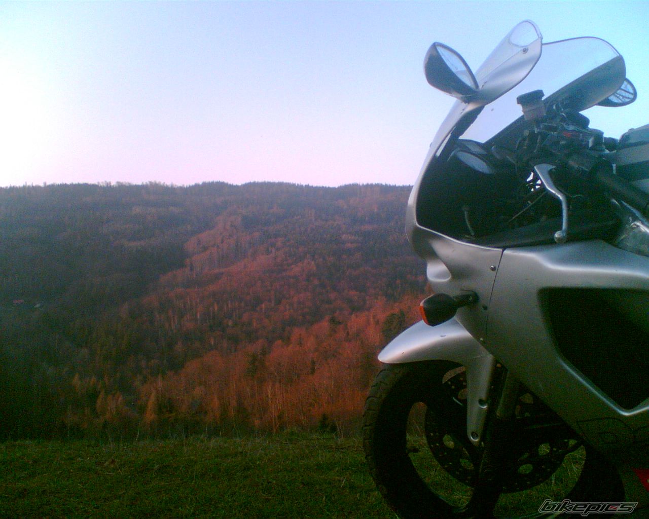 Photo 1015259