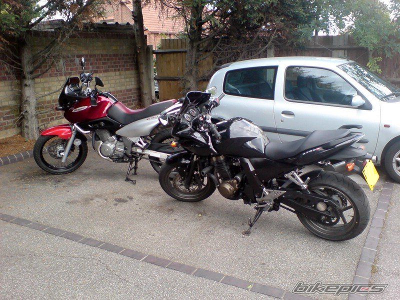 Photo 1015285