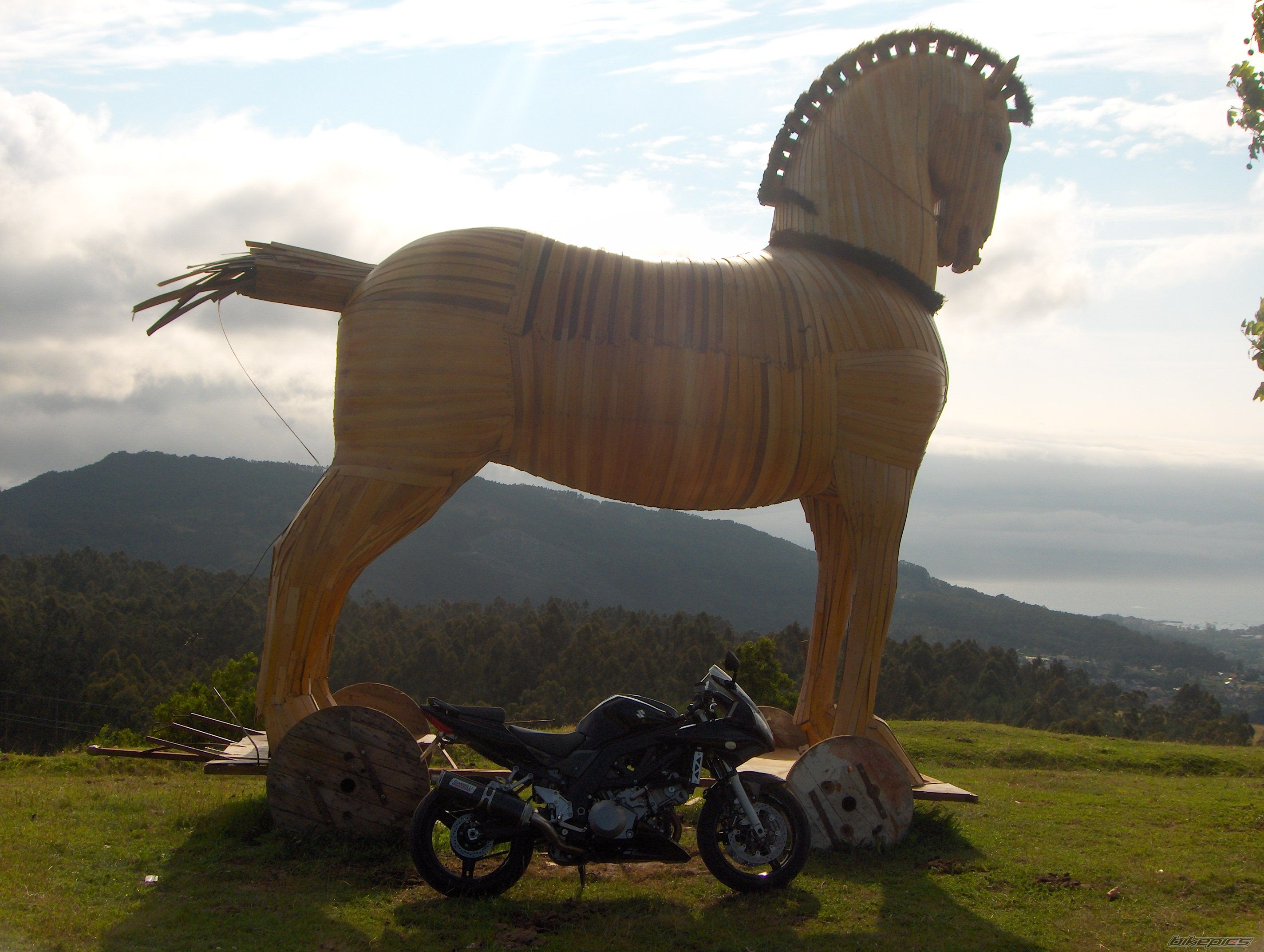 Bike Photo 1015469