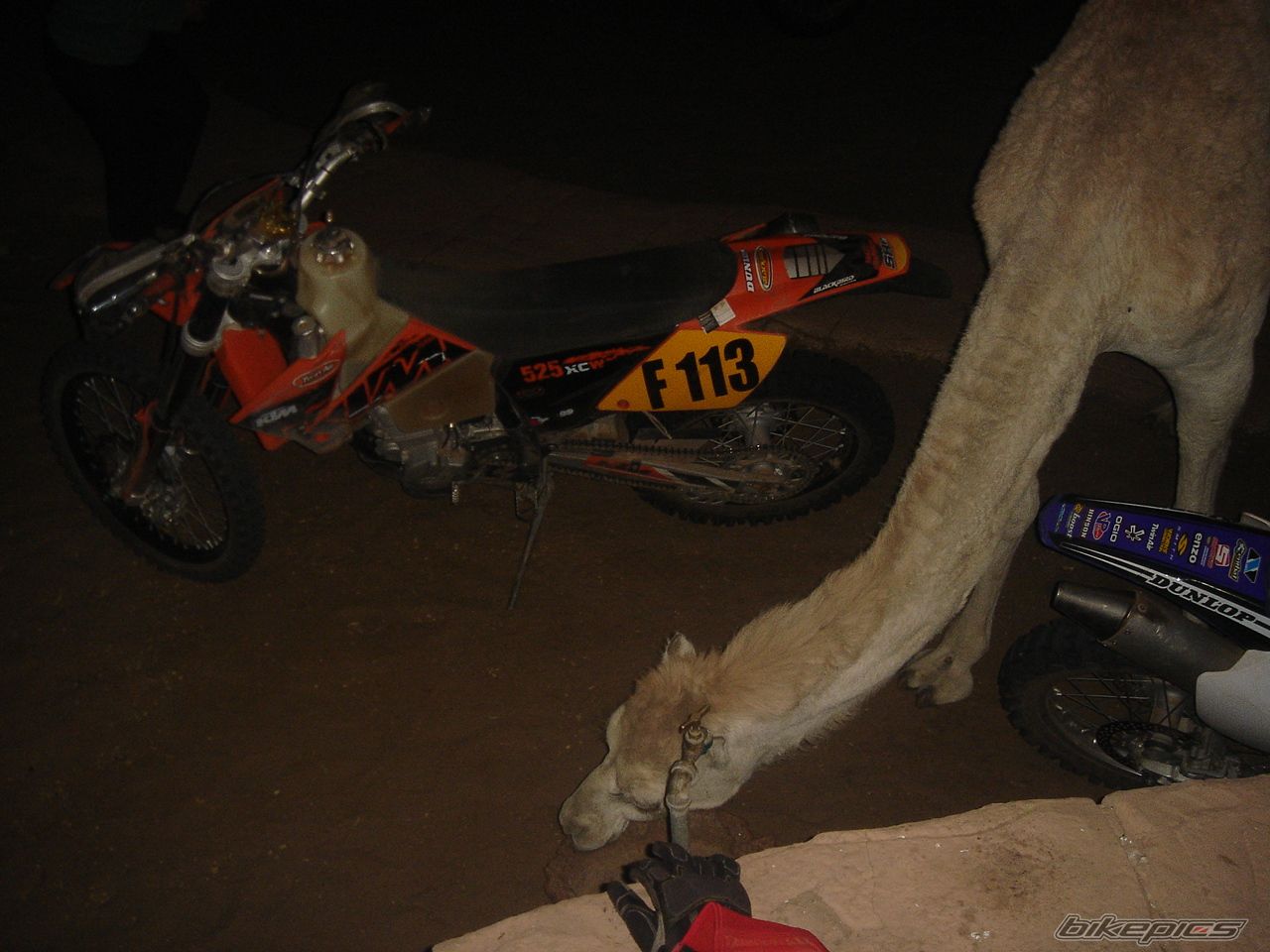 Bike Photo 1015755
