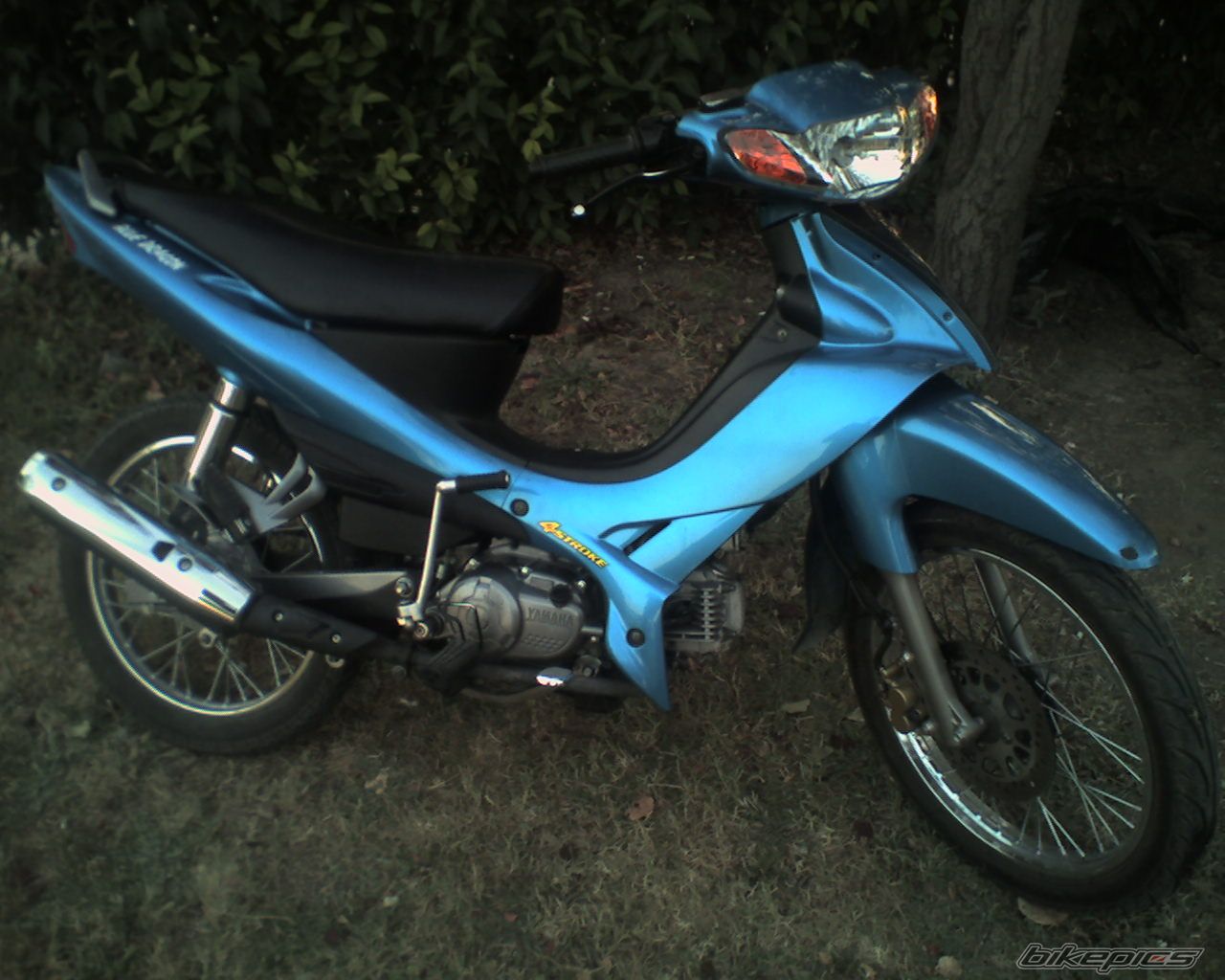 Photo 1015794