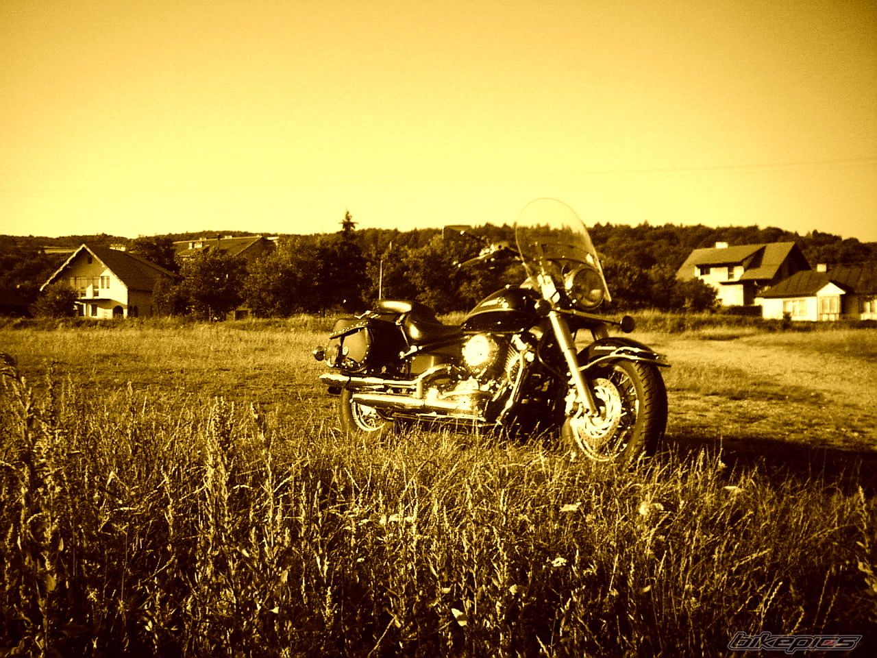 Bike Photo 1015910
