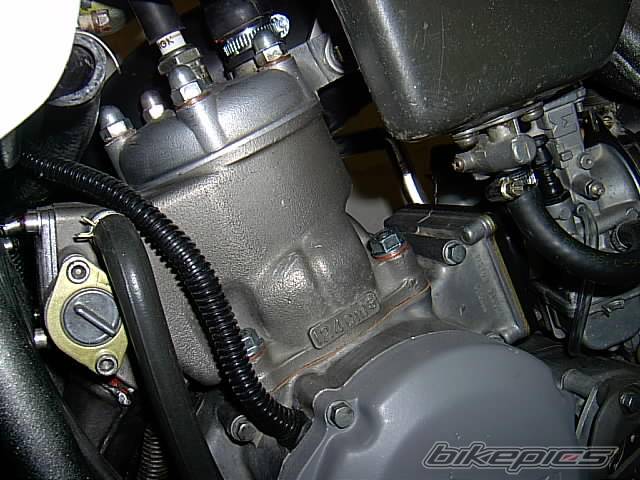 Photo 101598