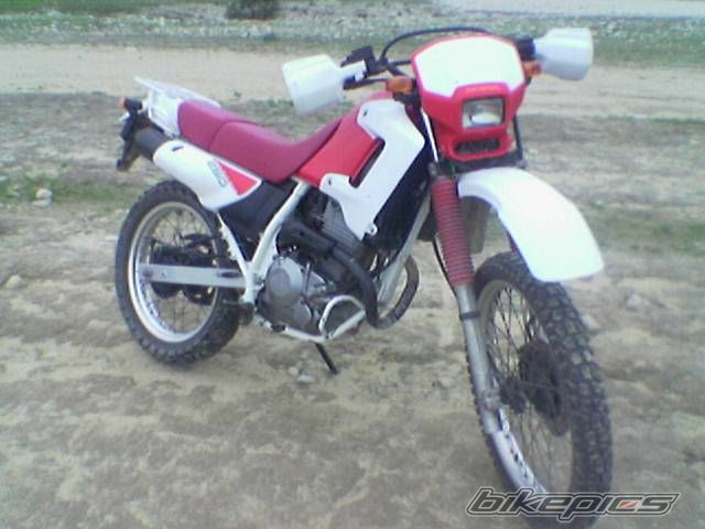 Bike Photo 1016069