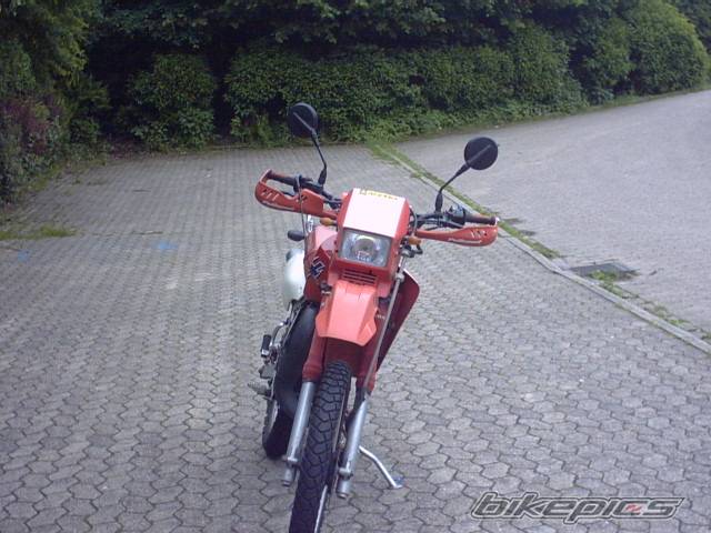 Photo 101631