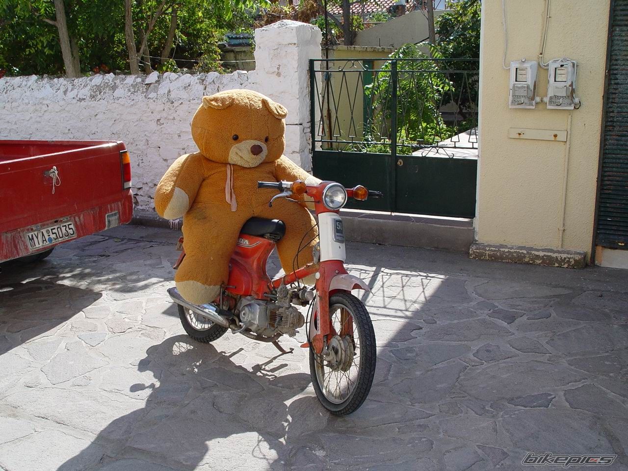 Bike Photo 1016425