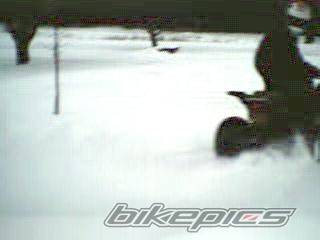 Bike Photo 101652