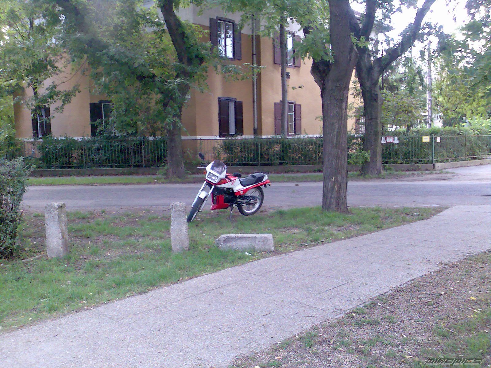 Photo 1016710
