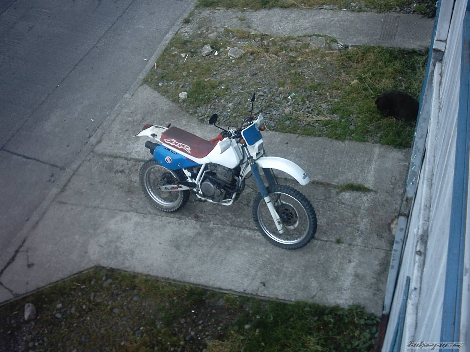 Bike Photo 101683