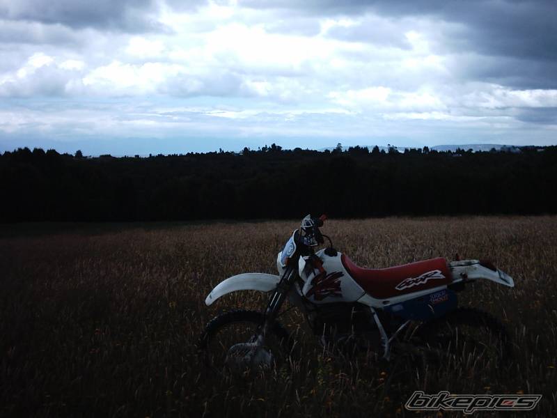 Bike Photo 101684