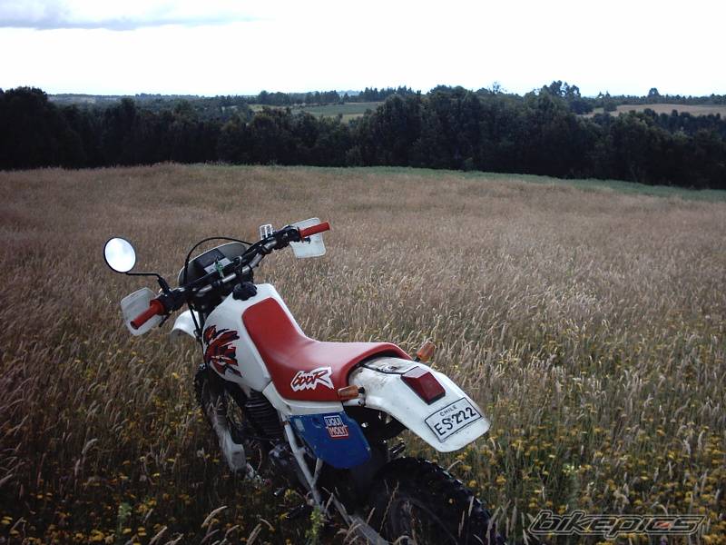 Bike Photo 101685