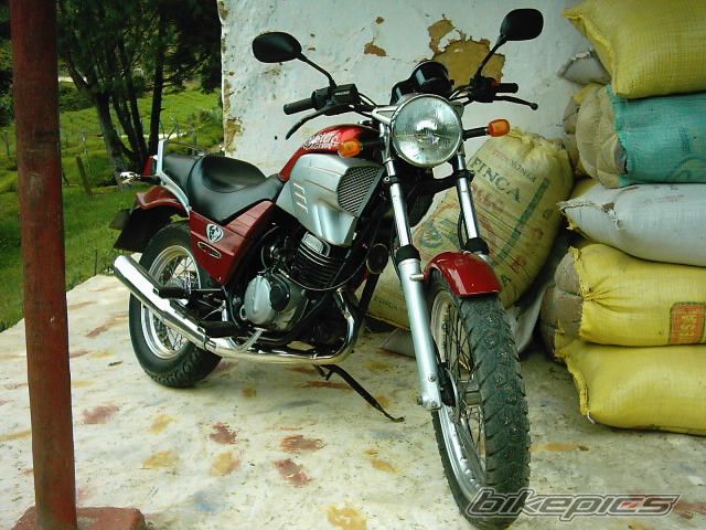 Bike Photo 1017013