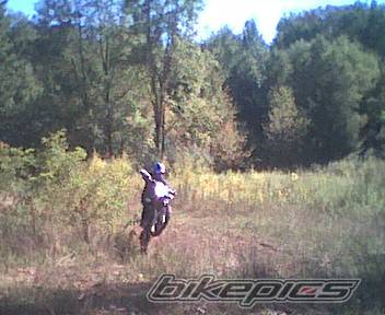 Photo 10171