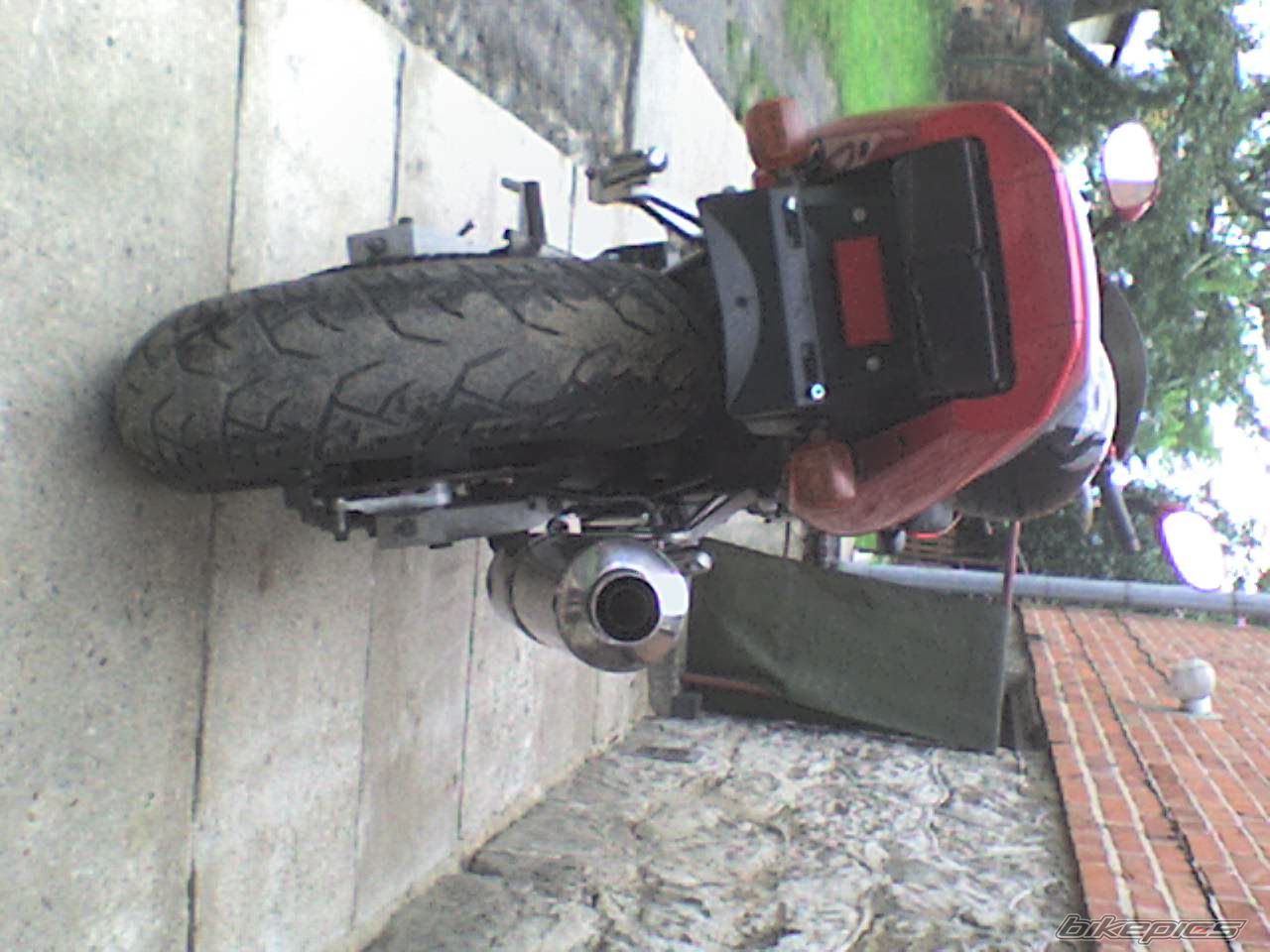 Photo 1017209