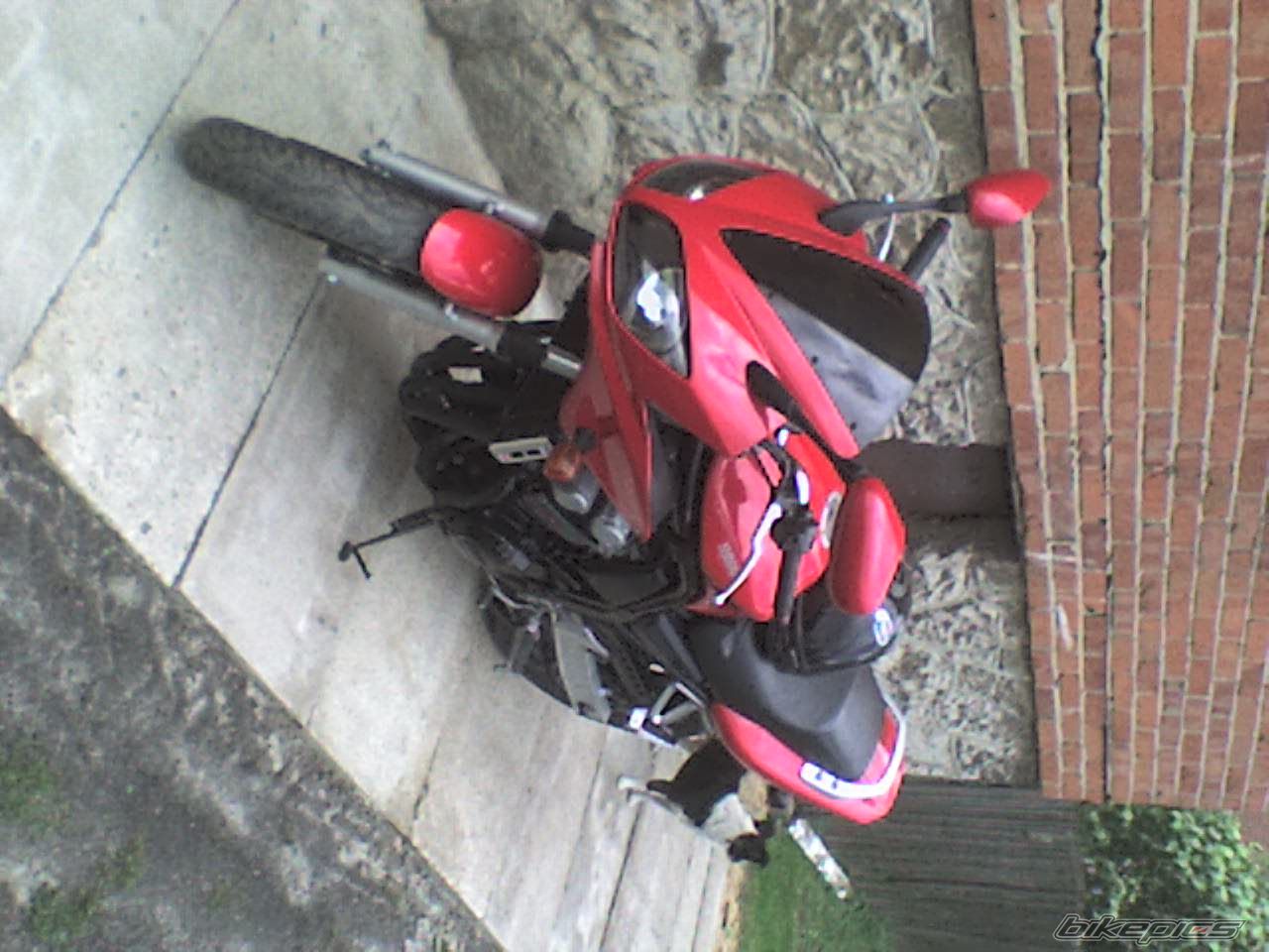 Photo 1017210