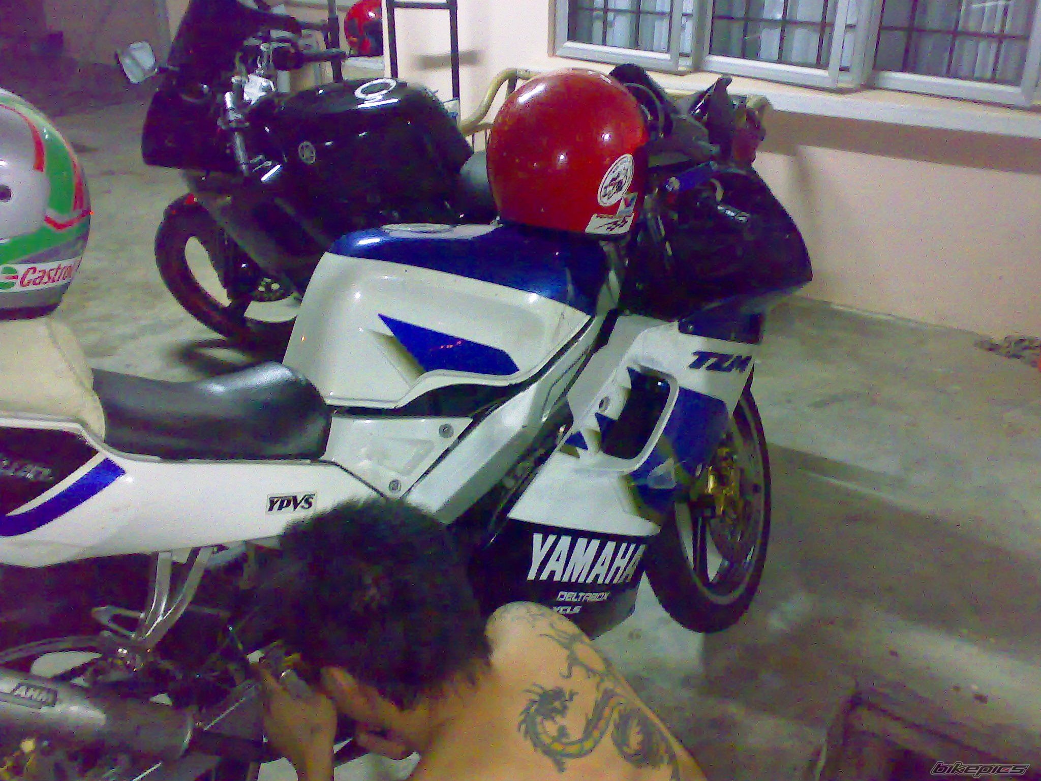 Photo 1017444