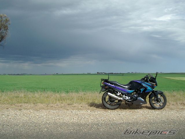 Photo 1017455