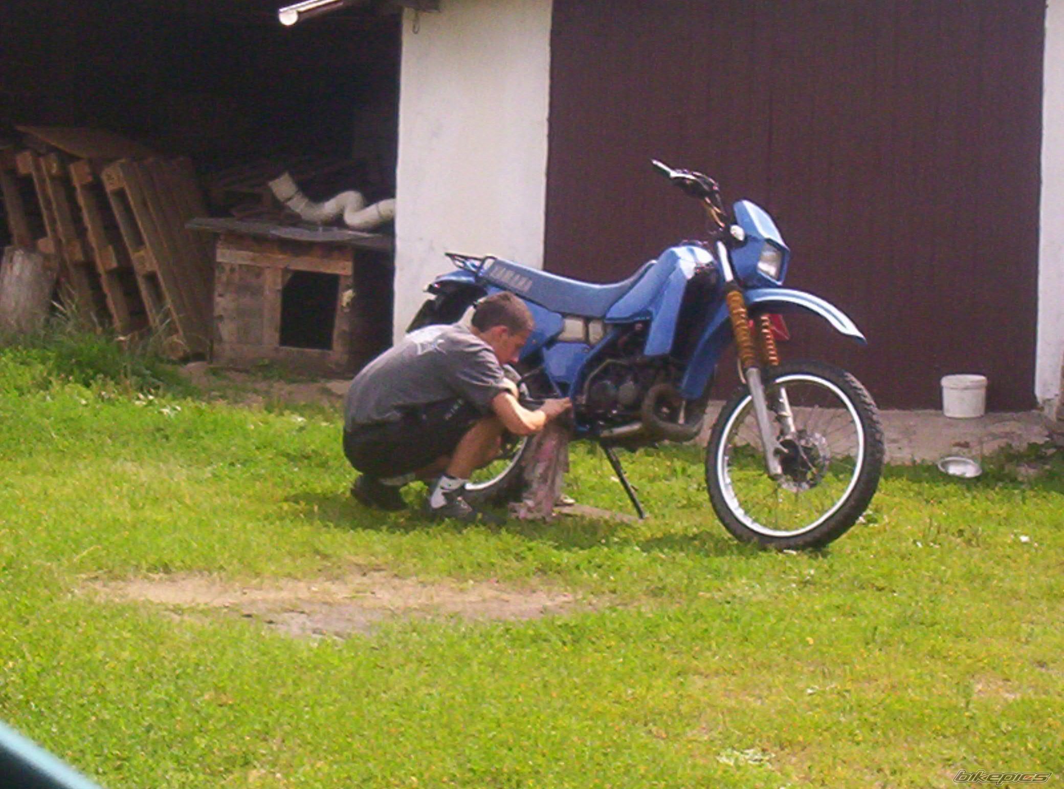 Bike Photo 1017560