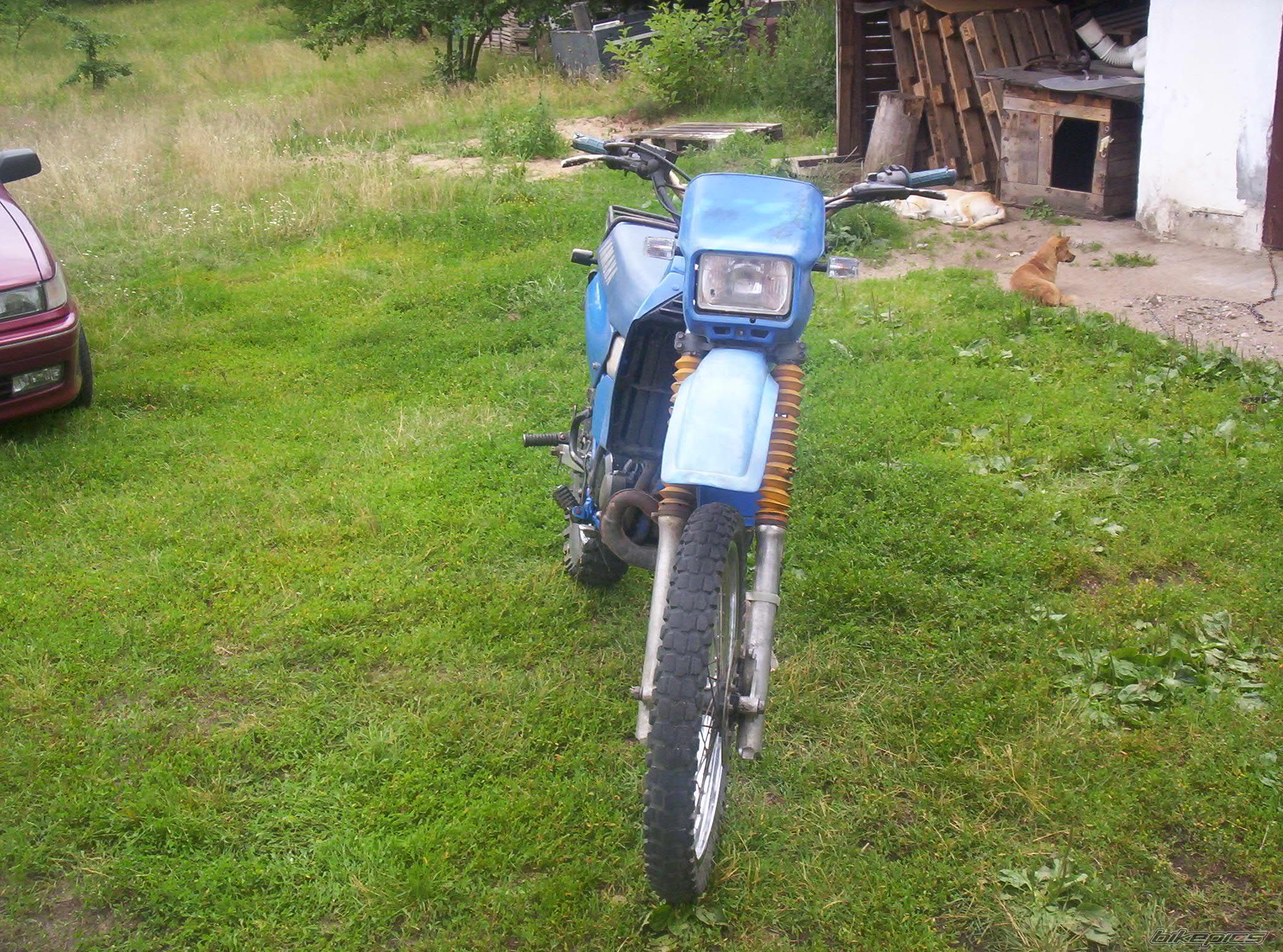 Bike Photo 1017565