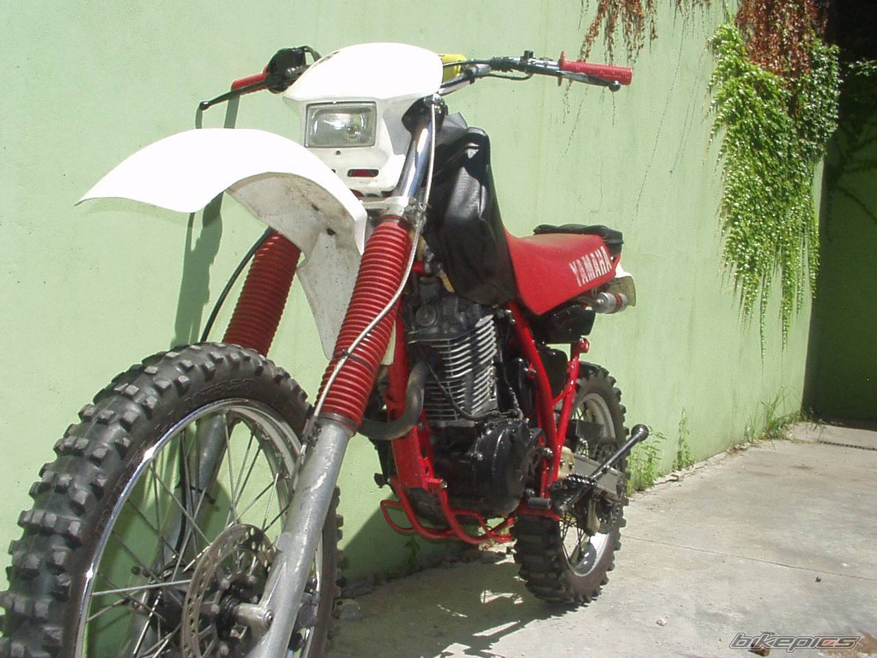 Bike Photo 101813