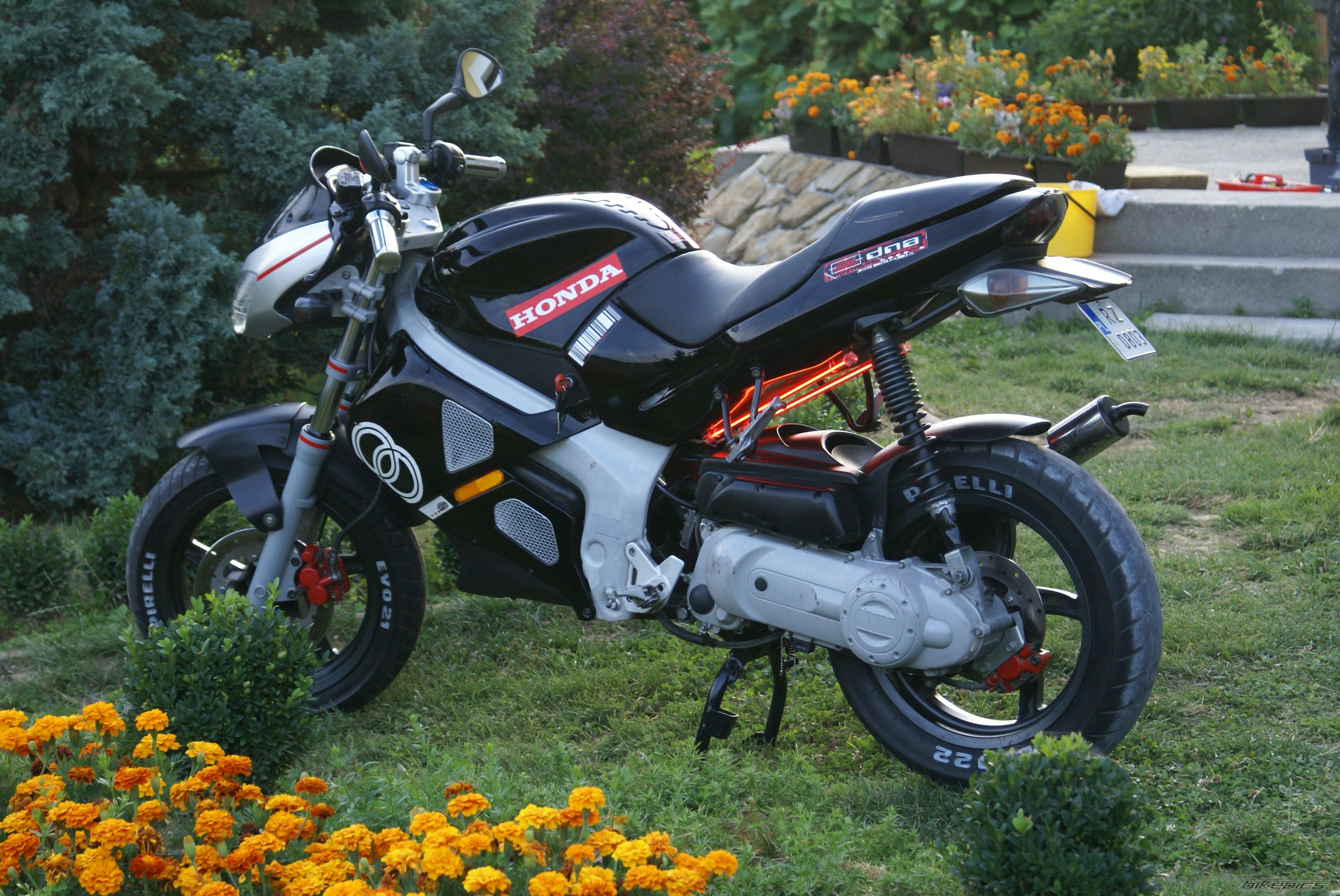 Bike Photo 1018373