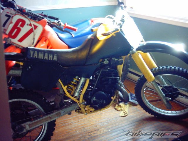 Photo 1018591