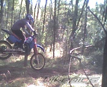 Photo 10186