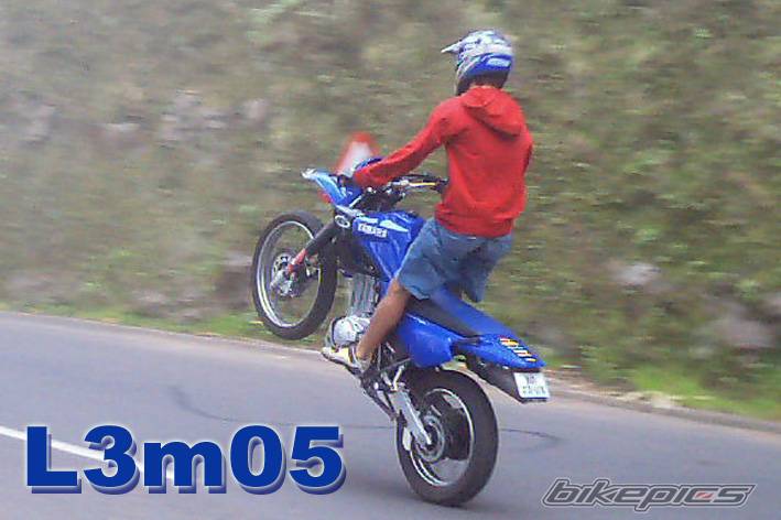 Bike Photo 101888