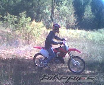 Photo 10189