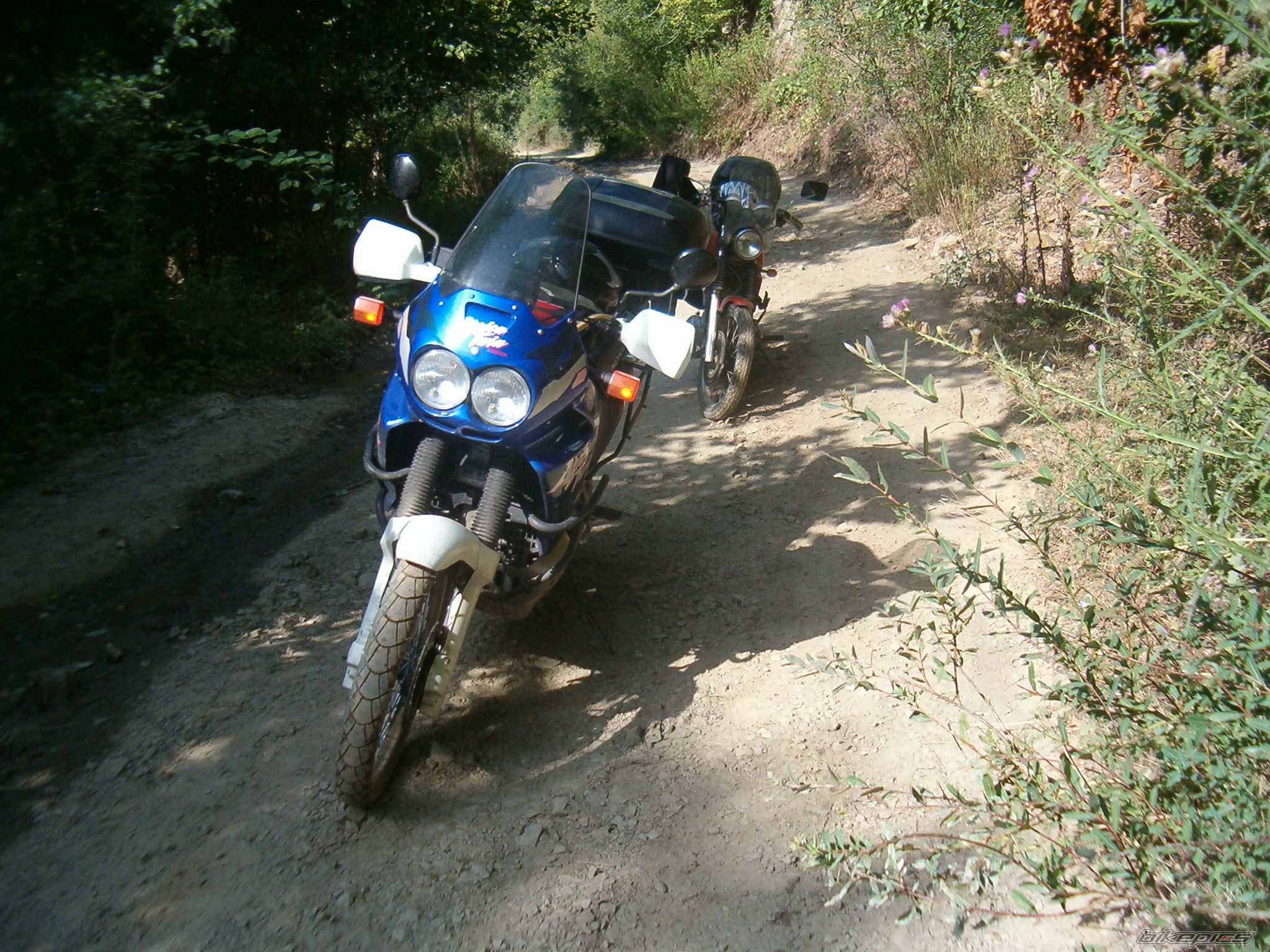 Bike Photo 1018913