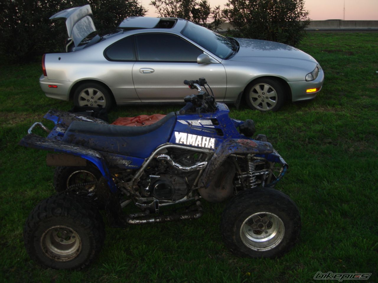 Photo 1018955