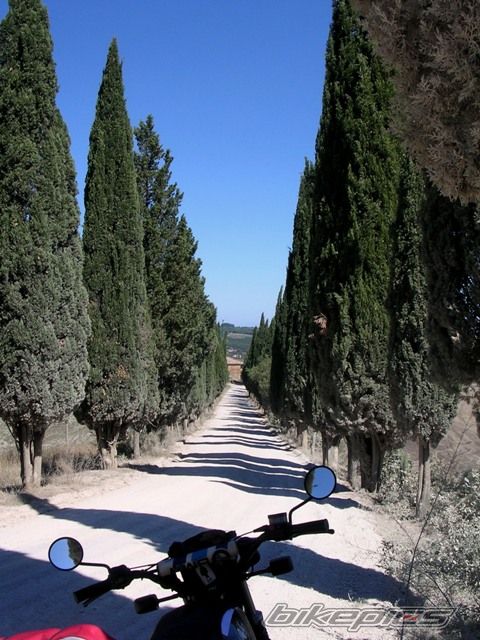 Bike Photo 1019241