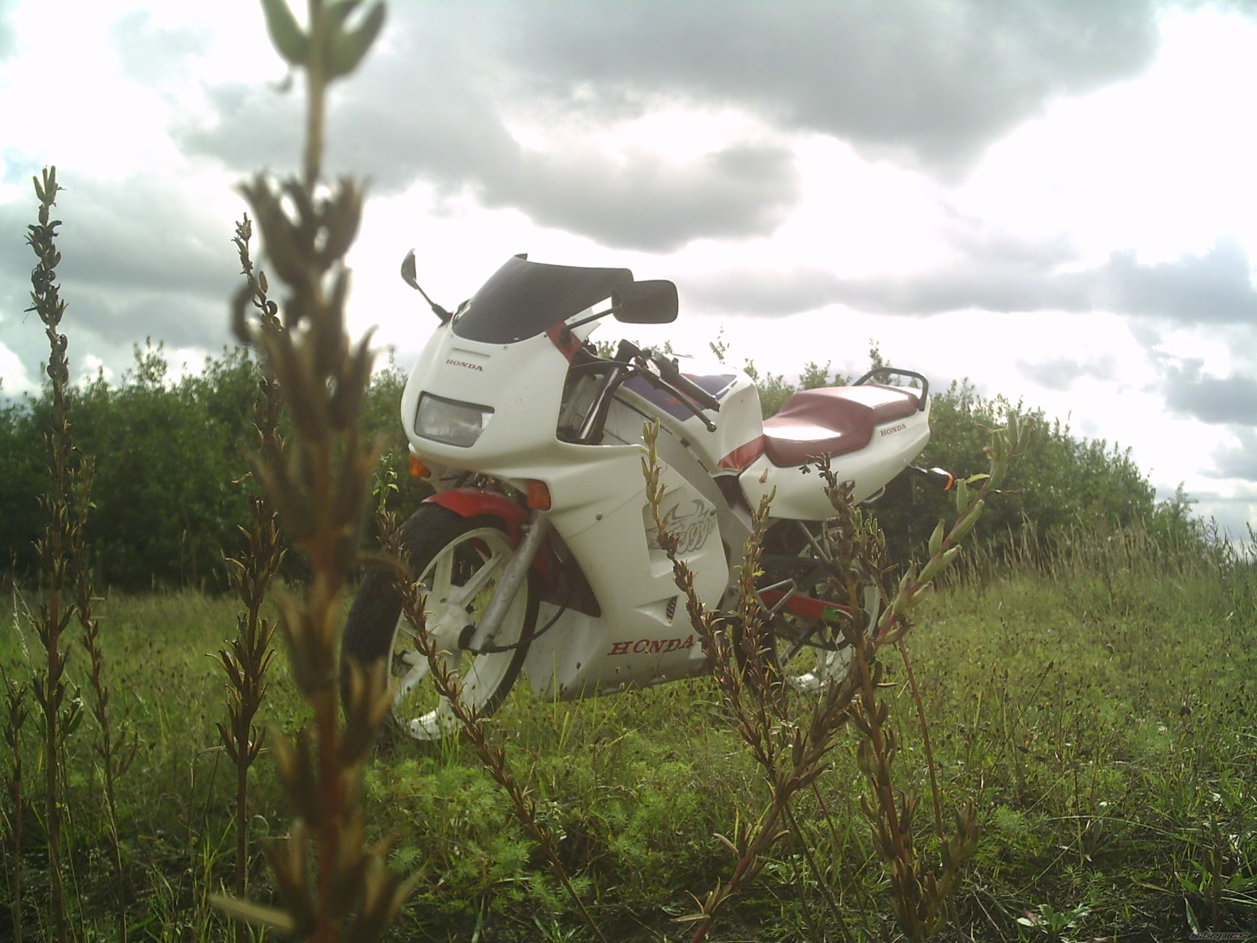 Bike Photo 1019400