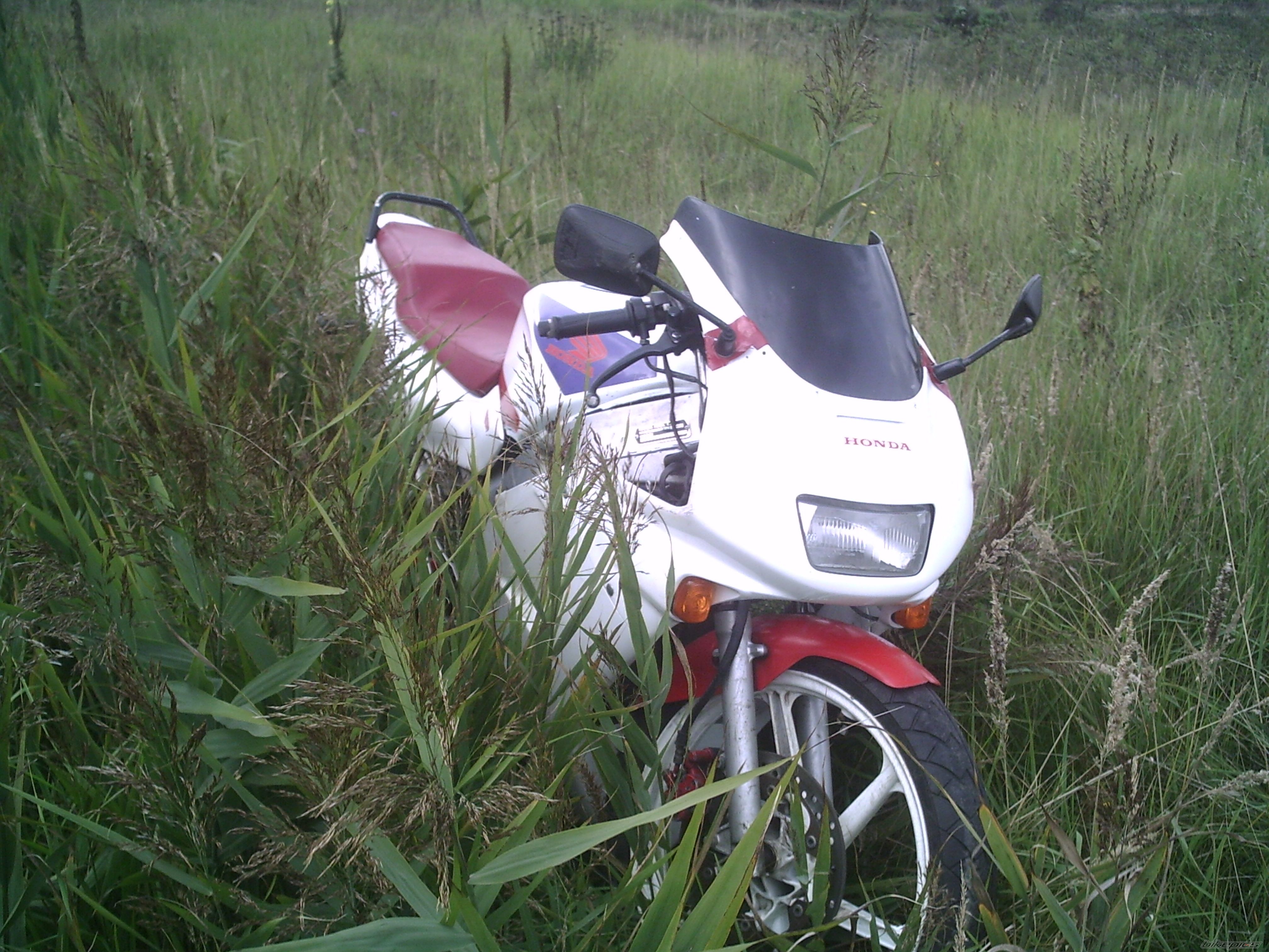 Bike Photo 1019409